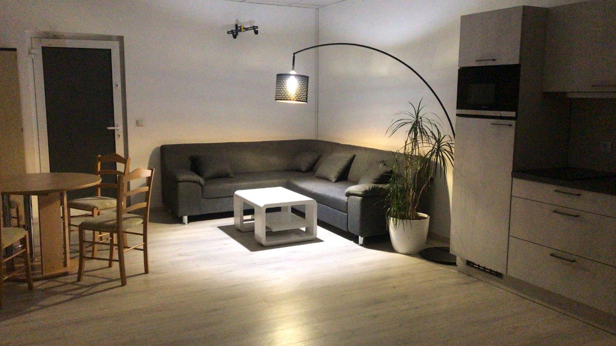 Grosse & Voll Ausgestattete Apartments, Studios, Doppelzimmer, Workspace, Parkplatz, Netflix, Prime & Schnelles Wifi In Ruhiger Lage Mit Garten 루돌슈타트 외부 사진
